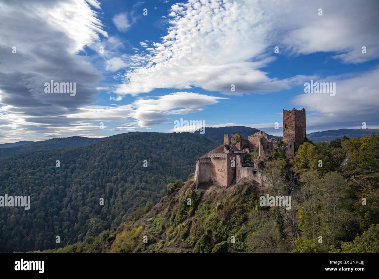 Ruine des Chateau de Saint-Ulrich (Ulrichsburg) in den Vogesen bei Ribeauville im Elsass, Departement Haut-Rhin, Region Grand Est Stockfoto