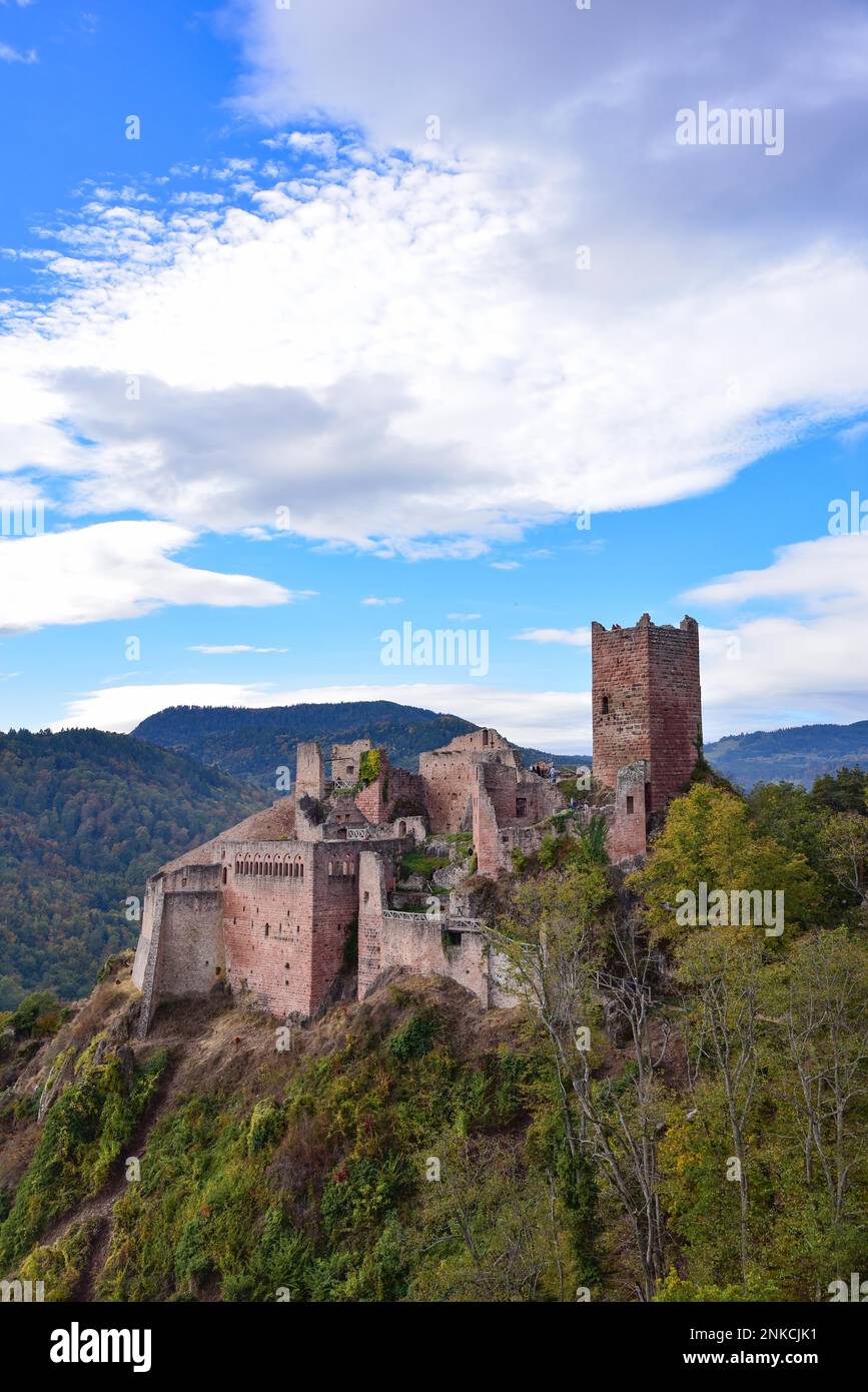 Ruine des Chateau de Saint-Ulrich (Ulrichsburg) in den Vogesen bei Ribeauville im Elsass, Departement Haut-Rhin, Region Grand Est Stockfoto