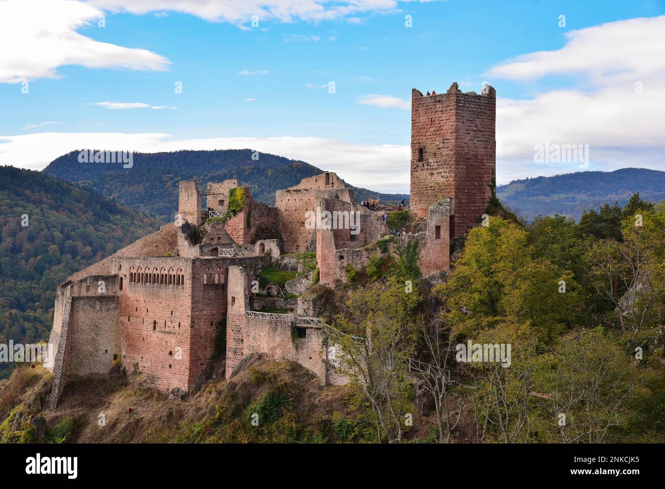 Ruine des Chateau de Saint-Ulrich (Ulrichsburg) in den Vogesen bei Ribeauville im Elsass, Departement Haut-Rhin, Region Grand Est Stockfoto
