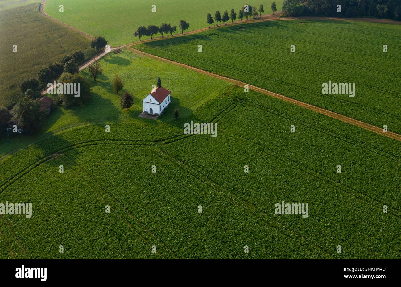 Österreich, Oberösterreich, Reichersberg, Drohnenblick auf Doblkapelle umgeben von grünem landwirtschaftlichem Feld Stockfoto