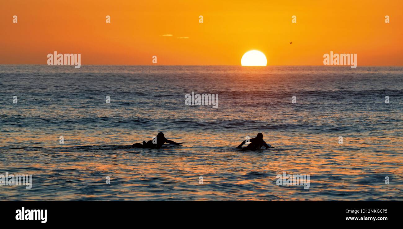 Silhouetten-Männer, die bei Sonnenuntergang im Meer surfen, Pembrokeshire, Wales Stockfoto