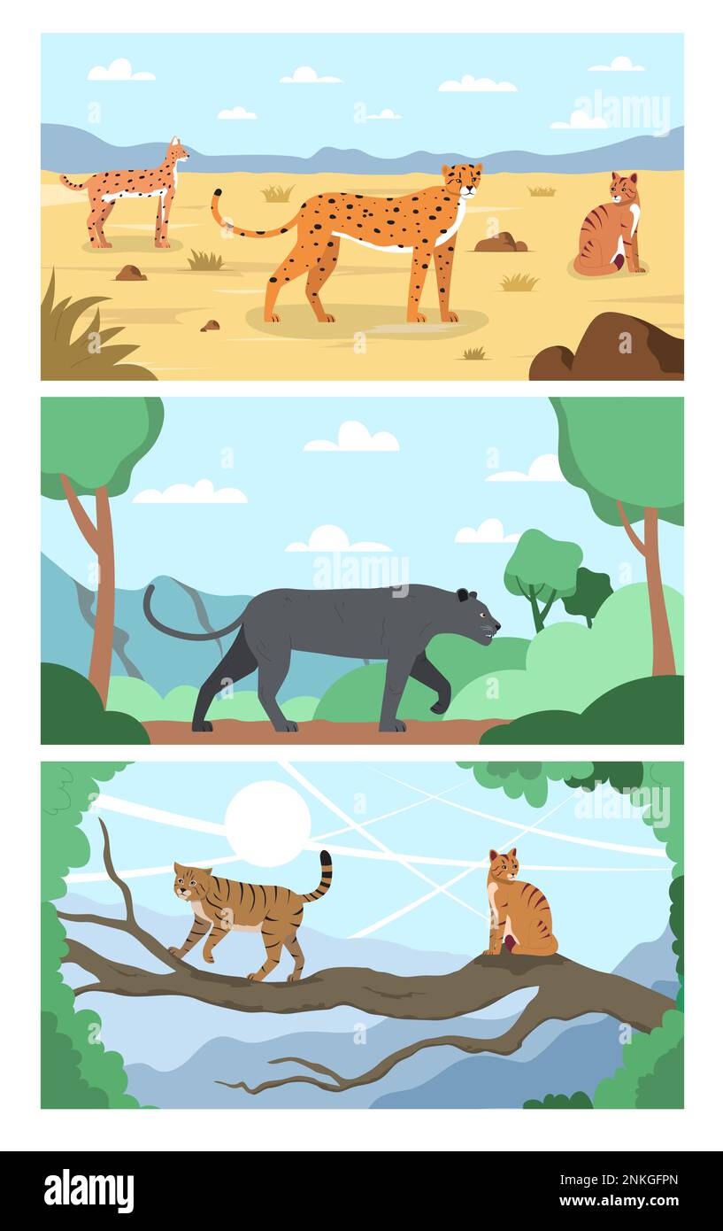 Wildkatzen-Flachbild mit drei horizontalen Kompositionen mit tropischen Landschaften und Katzen in einem natürlichen Lebensraum Stock Vektor