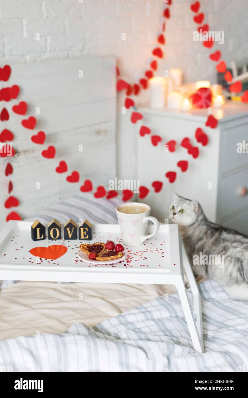 Frühstückstablett von der Katze, die auf dem Bett sitzt Stockfoto