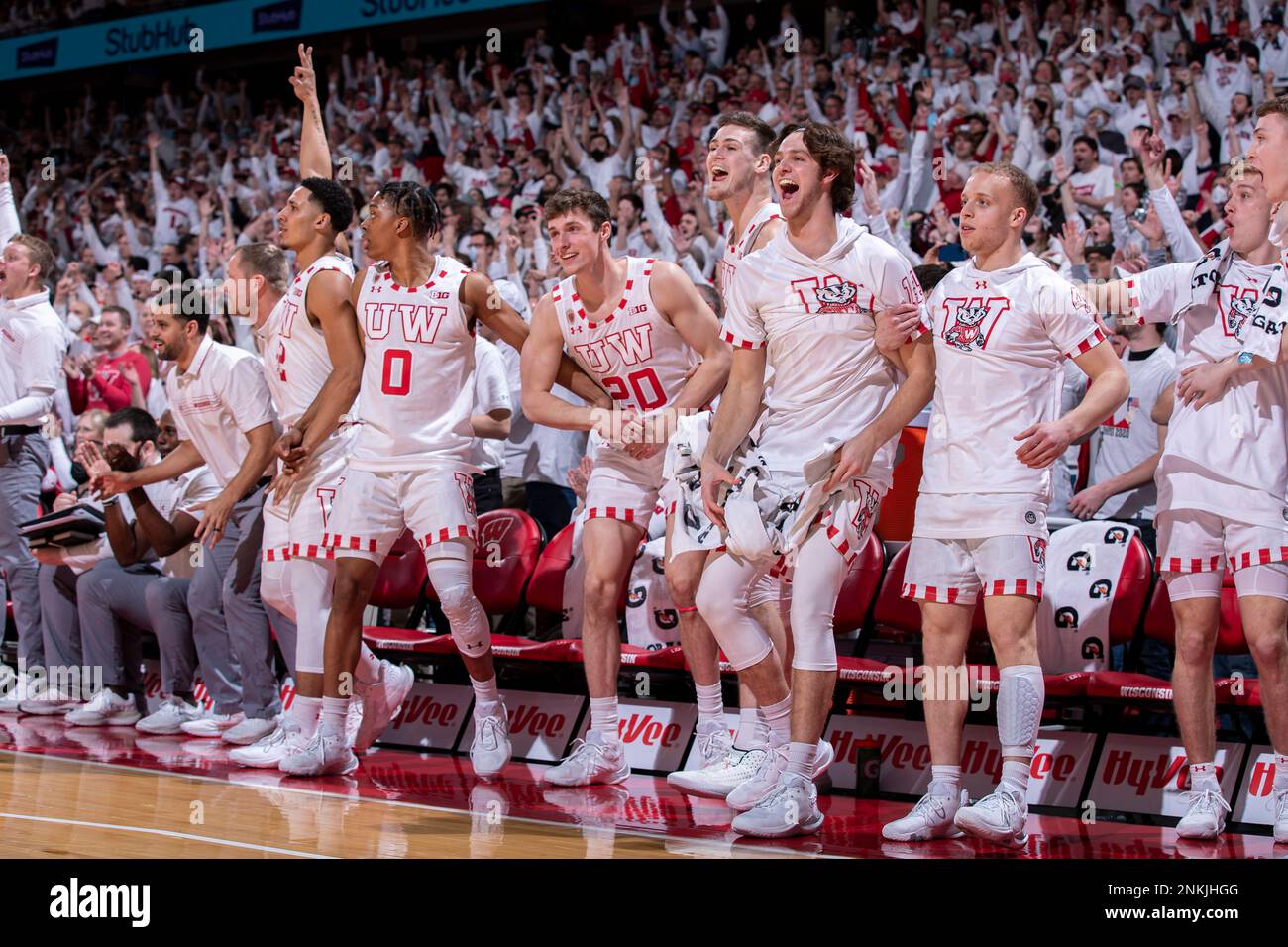 Wisconsin Badgers Teammates Celebrate From The Bench During An NCAA wisconsin-badgers-teammates-celebrate-from-the-bench-during-an-ncaa