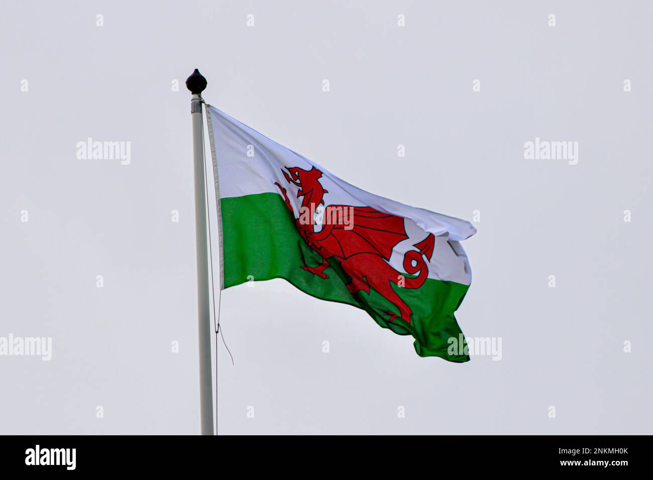 Roter Drache auf weißem und grünem Hintergrund walisische Flagge auf weißem Wolkenhintergrund Stockfoto