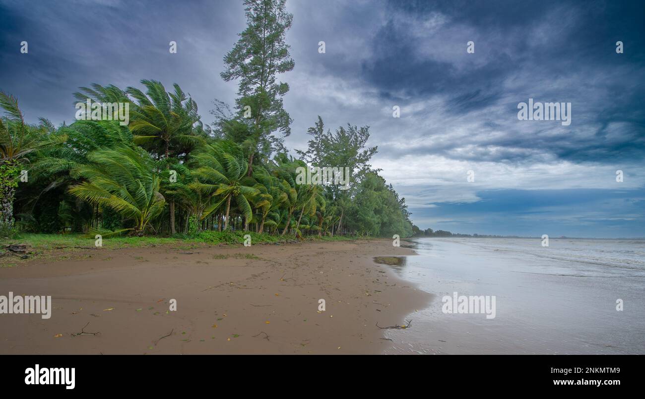 Ein tropischer Sturm nähert sich über dem Meer, stinkender Wind über dem Palmenwald, dramatisch dunkler Himmel, gelber Sand und sehr hoher Wasserstand bei Hig Stockfoto