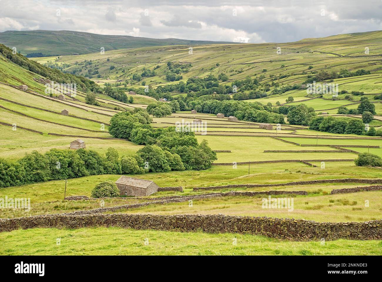 Blick auf das Tal in Richtung Muker - von der Straße, die zum Keld, Yorkshire Dales Nationalpark führt. Stockfoto