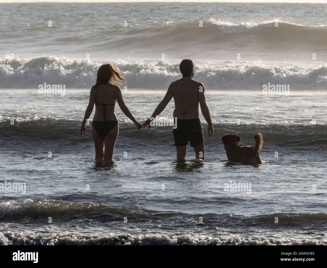 Ein Paar und ihr Hund gehen ins Meer, während die Wellen in der Nähe von Nosara in Costa Rica einrollen Stockfoto