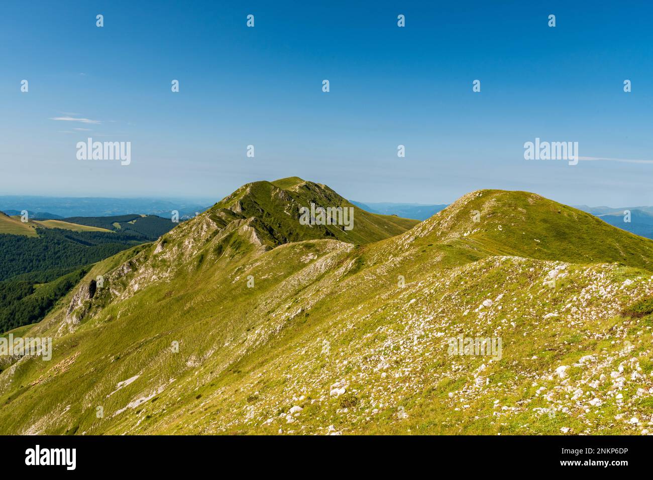 Herrlicher Oslea Bergkamm in den Valkanerbergen in Rumänien an einem wunderschönen Sommertag Stockfoto