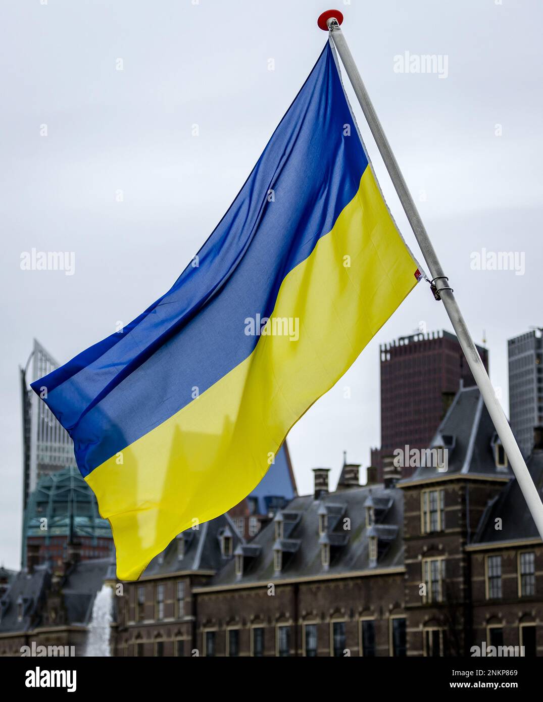 DIE HAAG-ukrainischen Flaggen in De Hofvijver an dem Tag, an dem Russland vor einem Jahr in die Ukraine einmarschierte. ANP REMKO DE WAAL niederlande raus - belgien raus Stockfoto