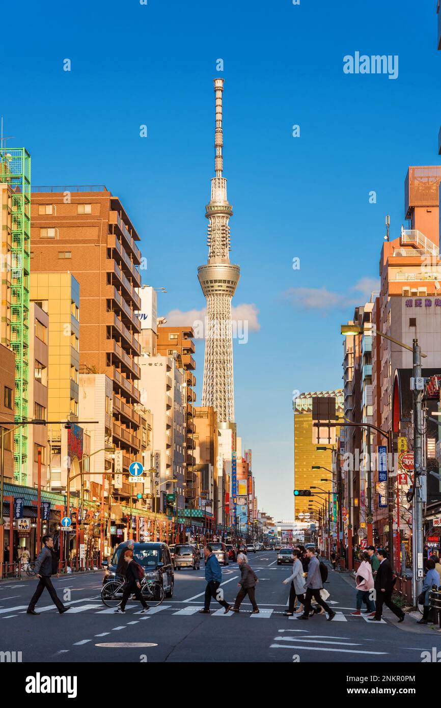 Blick auf den berühmten Tokyo Skytree vom Viertel Asakusa Stockfoto