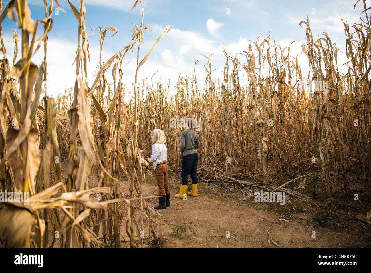 Zwei Kinder, die im großen Maisfeld stehen und gummistiefel tragen Stockfoto