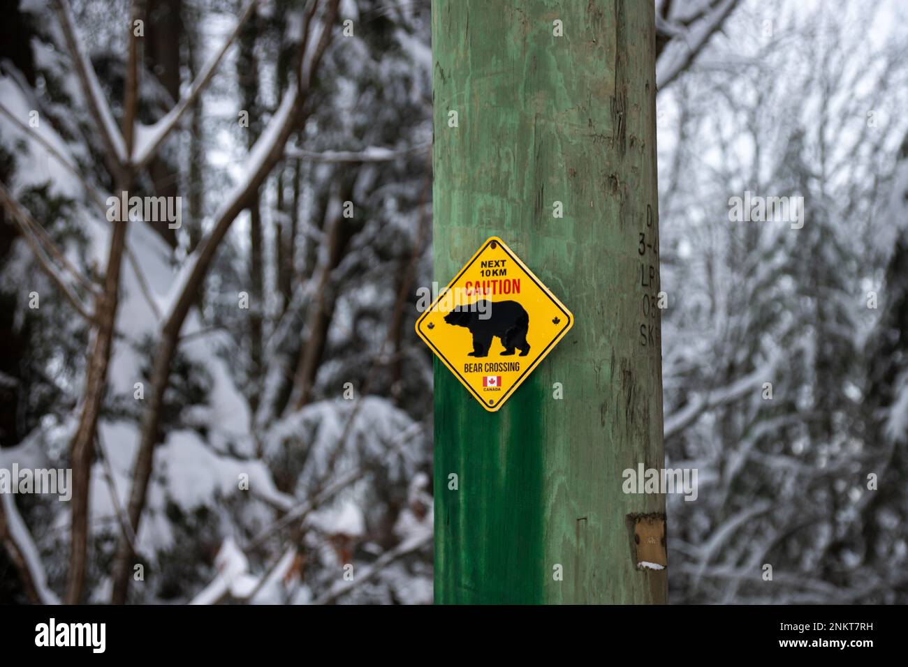 Vancouver, KANADA - Dez. 20 2022 : "Next 10km Caution, Bear Crossing"-Schild in der Wintersaison des Parks. Stockfoto