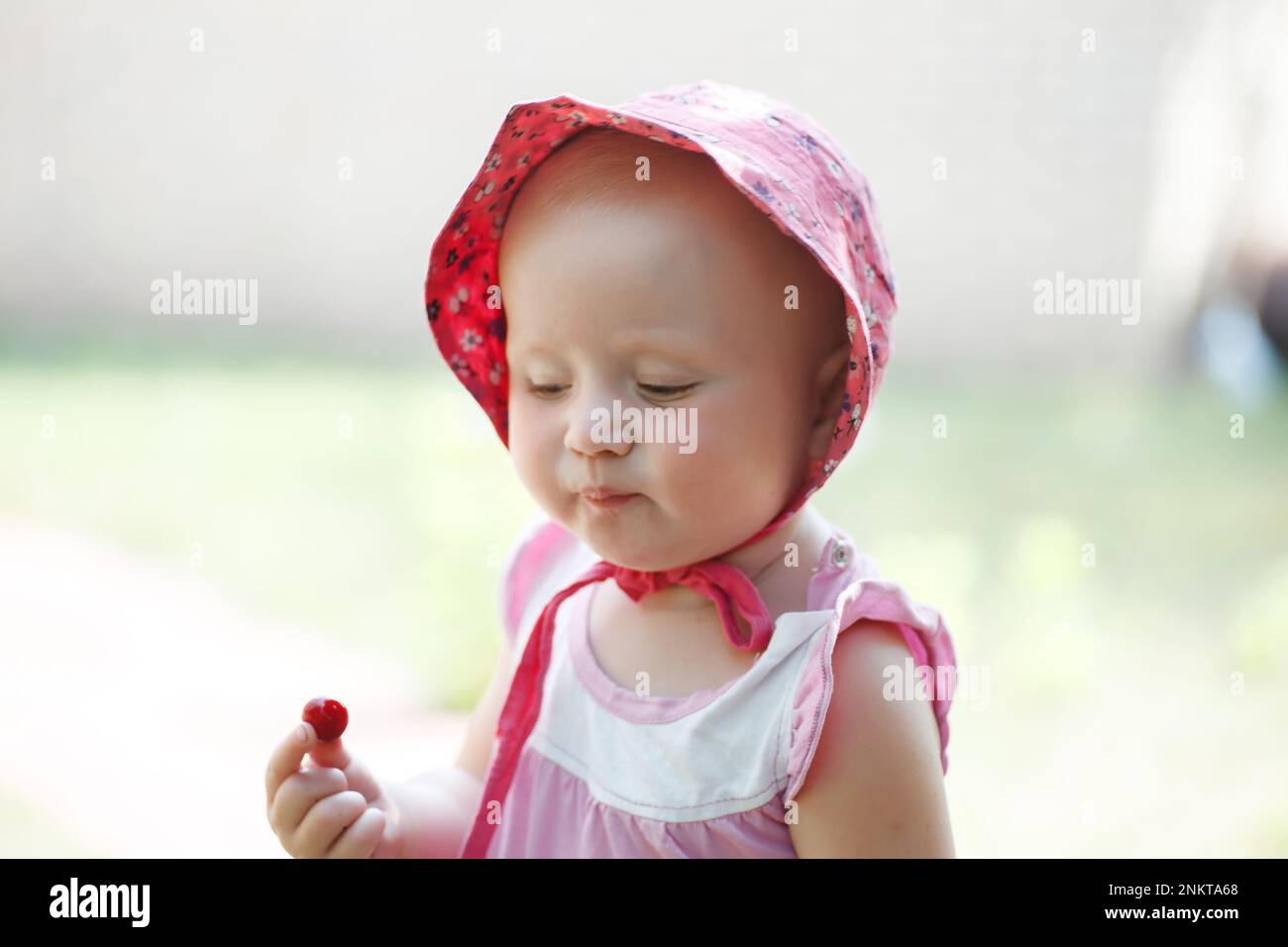 Kirschen auf der Kinderkarte. Ein 1-jähriges Mädchen hält frische Kirschen von einem Ast. Neue Erfahrung mit dem Geschmack von Beeren in Stockfoto