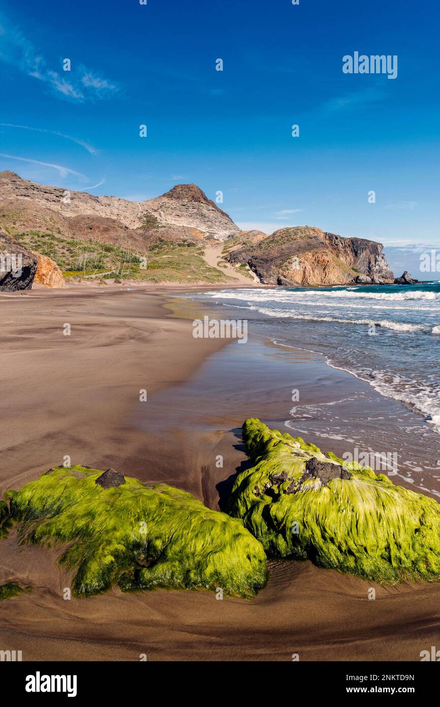 Barronal Beach, Naturpark Gata-Níjar, Provinz Almería, Andalusien, Spanien Stockfoto