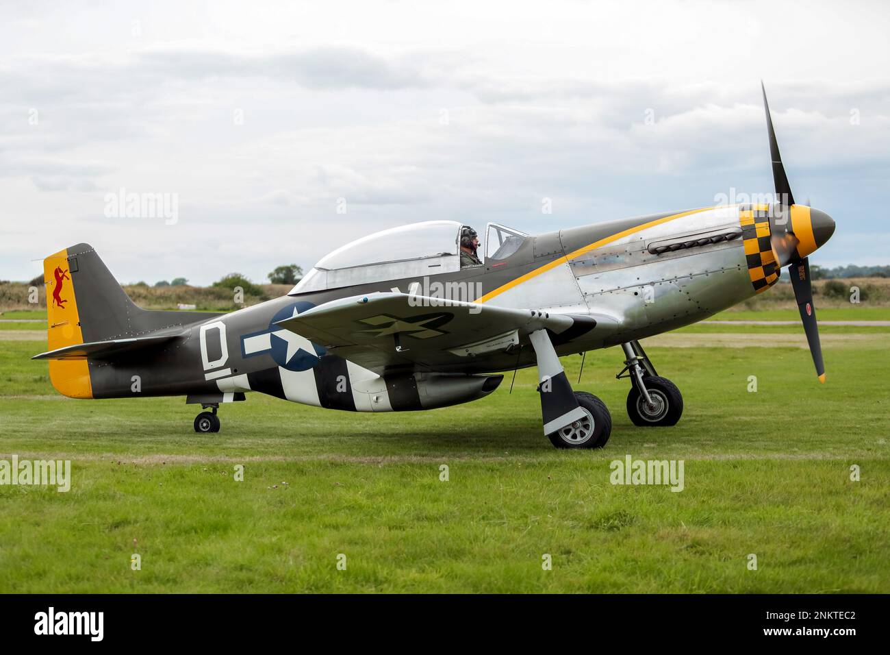 Dies ist die North American TF - 51D Mustang angezeigt bei Shoreham Airshow, Shoreham Flughafen, East Sussex, UK. 30. August 2014 Stockfoto