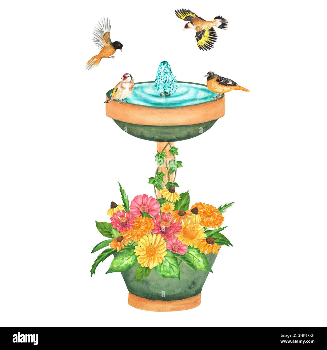 Handgezeichnete Aquarellkomposition mit Vogelbad und Blumen. Ein kleiner Teil des großen VOGELGARTENS Stockfoto