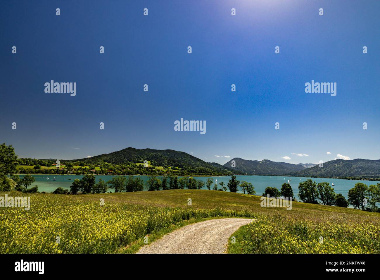 Blick über sanfte grüne Wiese zum Tegernsee, Mangfallgebirge, Wandern, Berge, blauer Himmel, Bäume Stockfoto