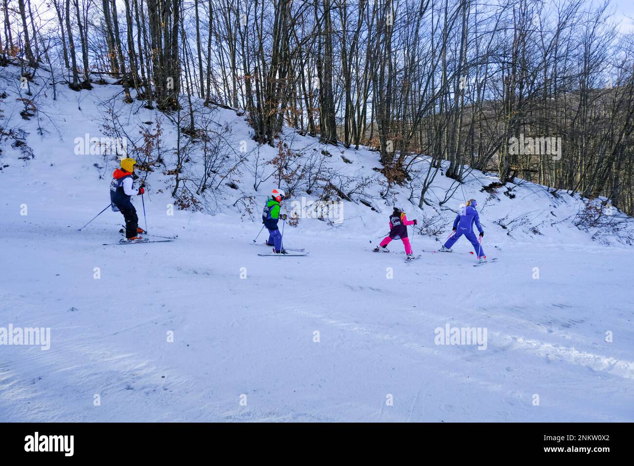 Kinder in bunten Skianzügen, die in den schneebedeckten Bergen über Bäume und Sonnenlicht Ski fahren. Stockfoto