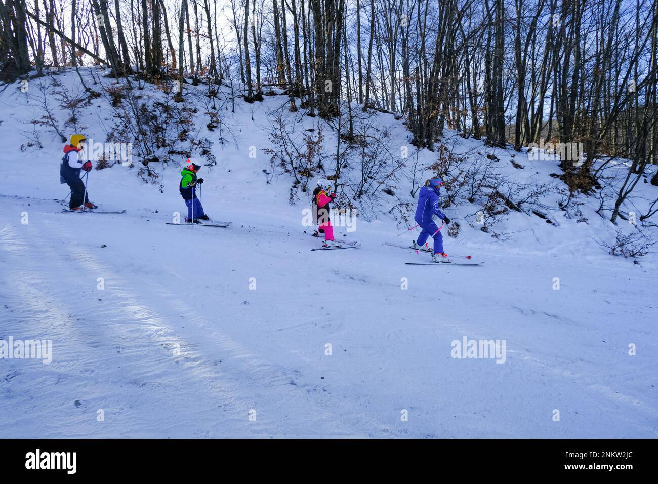 Kinder in bunten Skianzügen, die in den schneebedeckten Bergen über Bäume und Sonnenlicht Ski fahren. Stockfoto