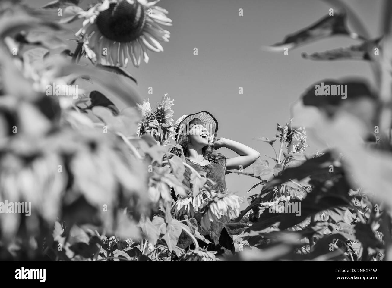 Mädchen auf Sonnenblumen Feld genießen gelbe Blüte an sonnigen Tag Stockfoto