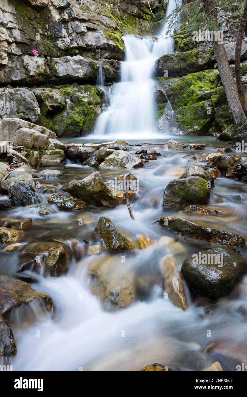 Upper Troll Falls, mit Troll, Kananaskis Country, Alberta, Kanada Stockfoto