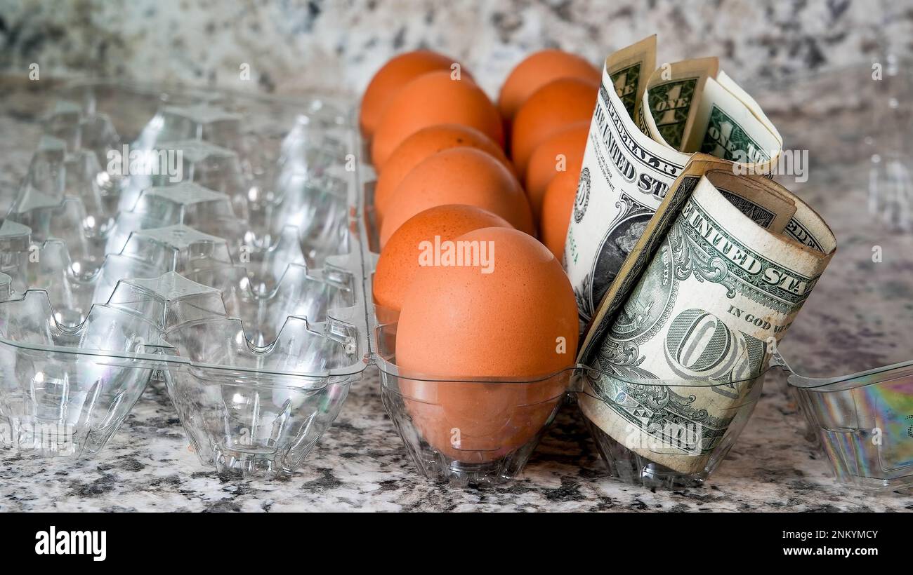 Braune Eier in Plastikbehältern mit amerikanischem Papiergeld Stockfoto