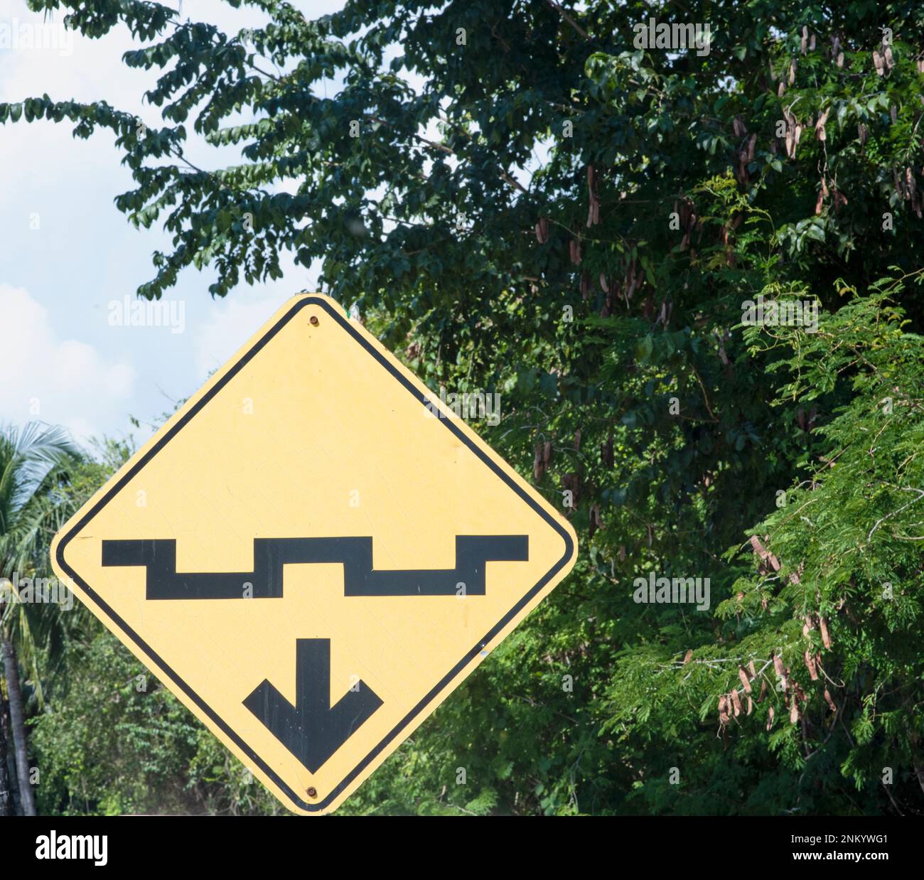 Gelbes Straßenschild mit Grafiken und Pfeil, das auf ein Hindernis hinweist, das die Geschwindigkeit verringern soll, in den tropischen Bäumen in Mexiko Stockfoto