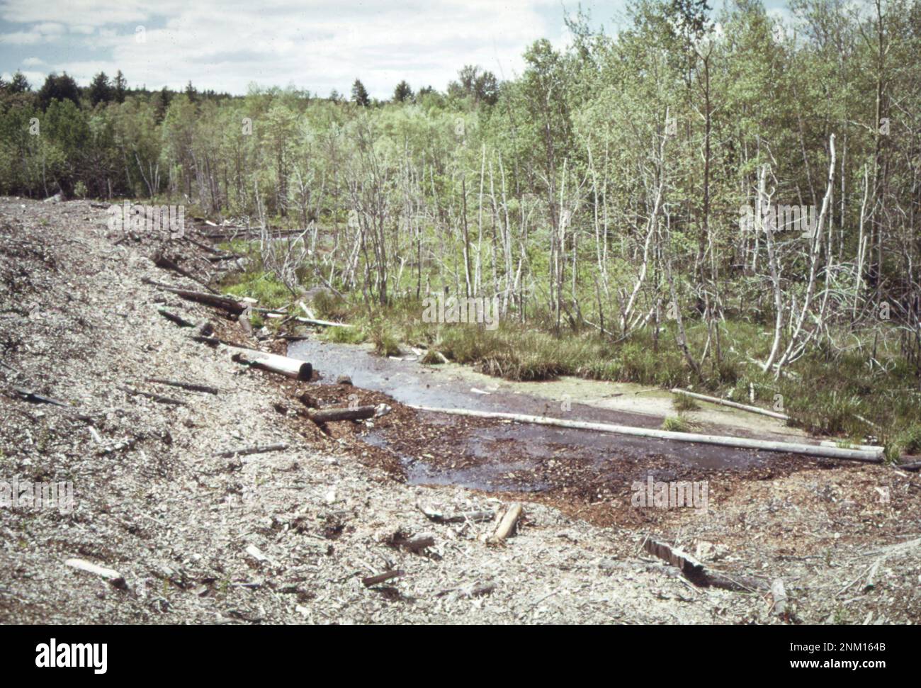 1970er Vereinigte Staaten: Rindenabfälle der Georgia Pacific Paper co Am Ufer eines verschmutzten Nebenflusses der St. Croix River. Einst ein frei fließender Fischbach, ist er jetzt erstickt, stagniert und verschmutzt ca. 1973 Stockfoto