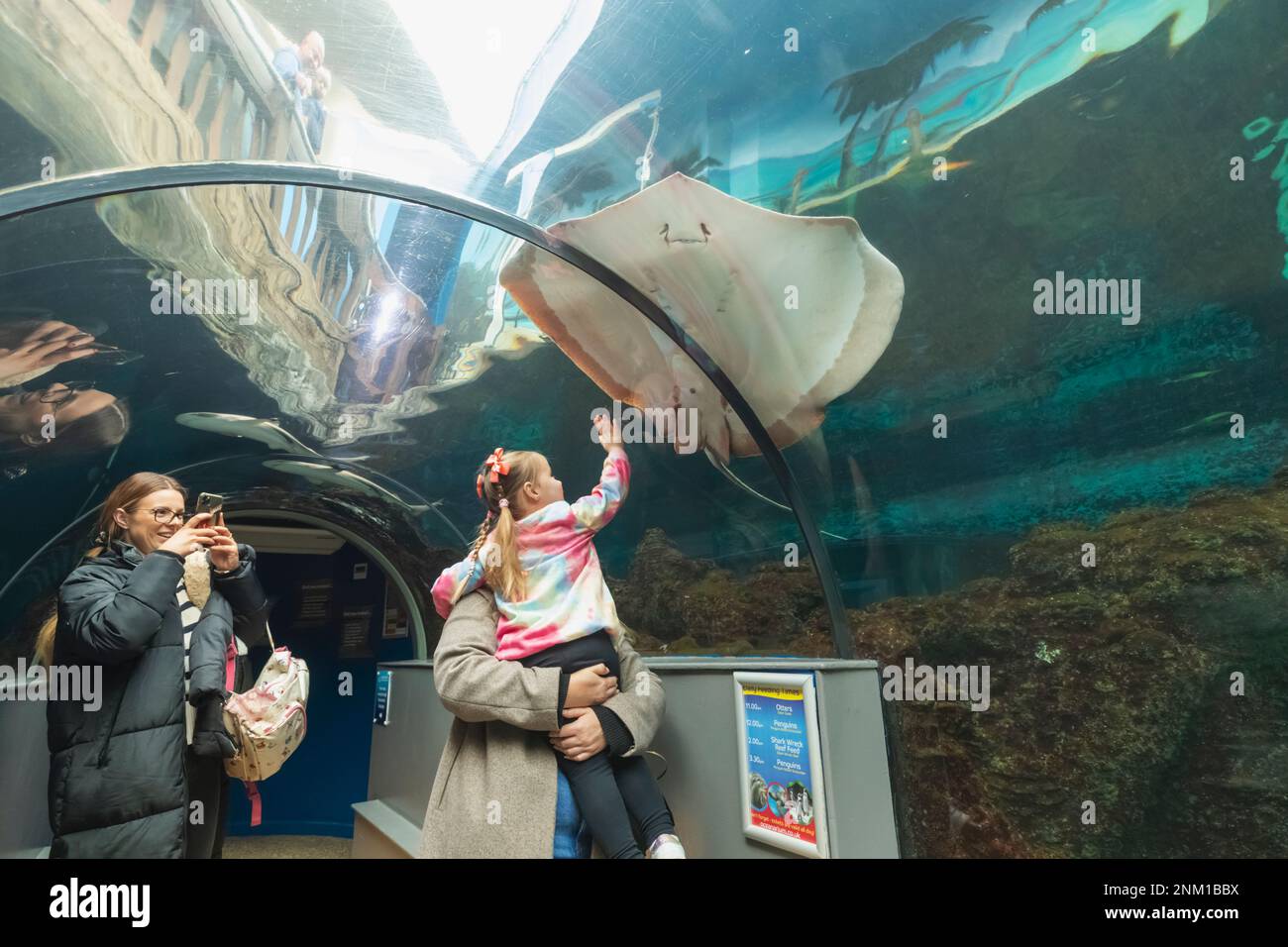 England, Dorset, Bournemouth, Bournemouth Oceanarium, Besucher im Unterwassertunnel Stockfoto