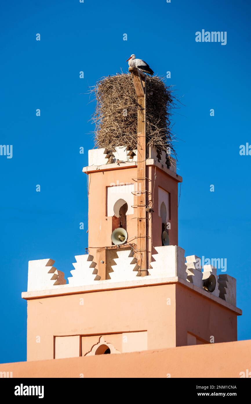 Afrika, Marokko, Südmarokko, Ouarzazate, Storchennest auf einem Minarett Stockfoto