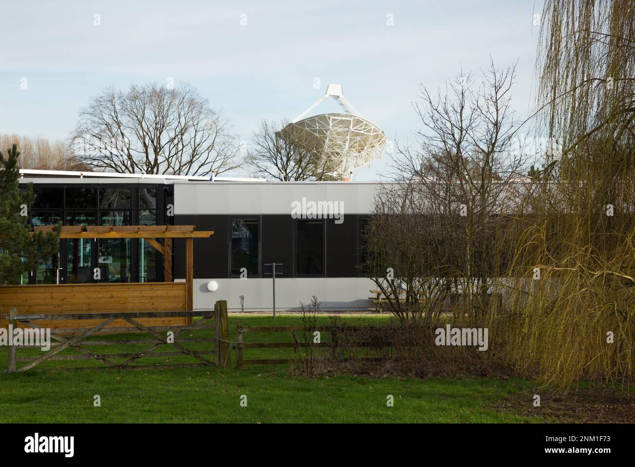 Büros der Square Kilometre Array – die SQA – mit Blick auf das Mark II (elliptische) Teleskop. Radioteleskop-Standort Jodrell Bank, Cheshire, Großbritannien. (133) Stockfoto