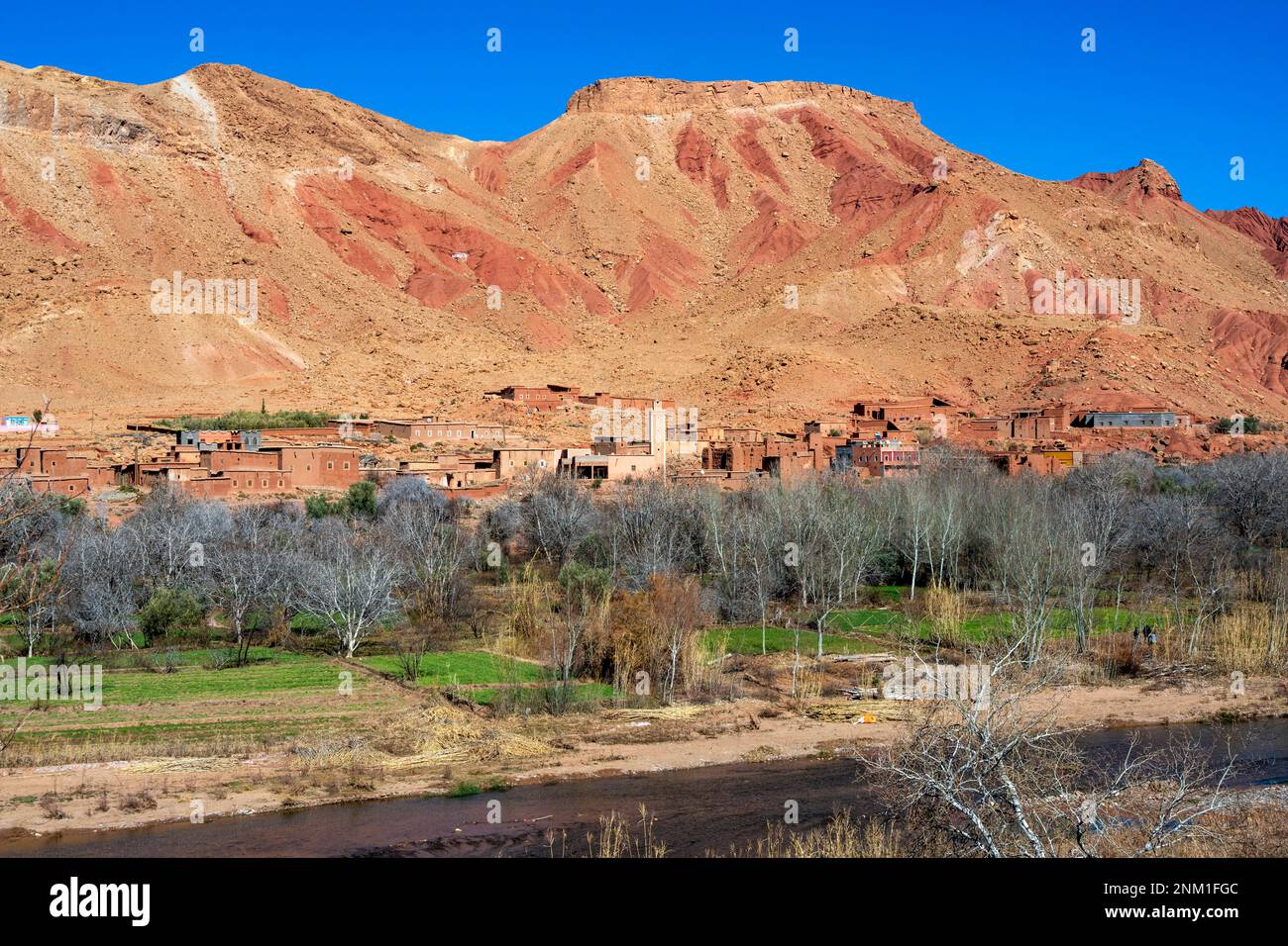 Afrika, Marokko, Südmarokko, Kelaat M'Gouna, Rosental (Vallee des Roses), Dorf Timssiggit (Tourbiste) Stockfoto