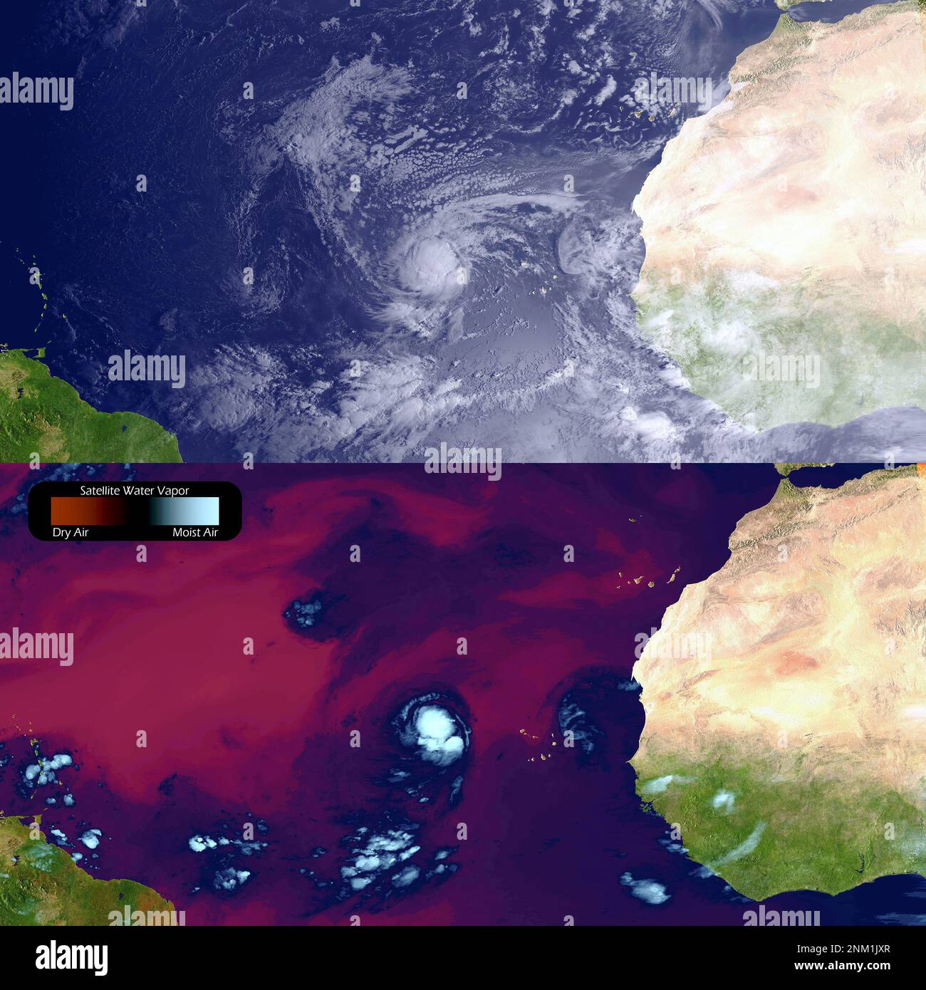 Der tropische Sturm Igor hat in den letzten Tagen Zyklen der Stärkung und Schwächung durchlaufen. Hier sehen Sie zwei Bilder, die der GOES-East-Satellit im Abstand von 24 Stunden aufgenommen hat (beide um 0945z Uhr am 9. Und 10. September 2010), wobei sowohl sichtbare als auch Infrarot-Wasserdampfkanäle verwendet werden. In den farbigen Wasserdampfbildern zeigen rot-orangefarbene Bereiche trockene Luft an, während feuchte Bereiche durch blaue Farben gekennzeichnet sind Stockfoto