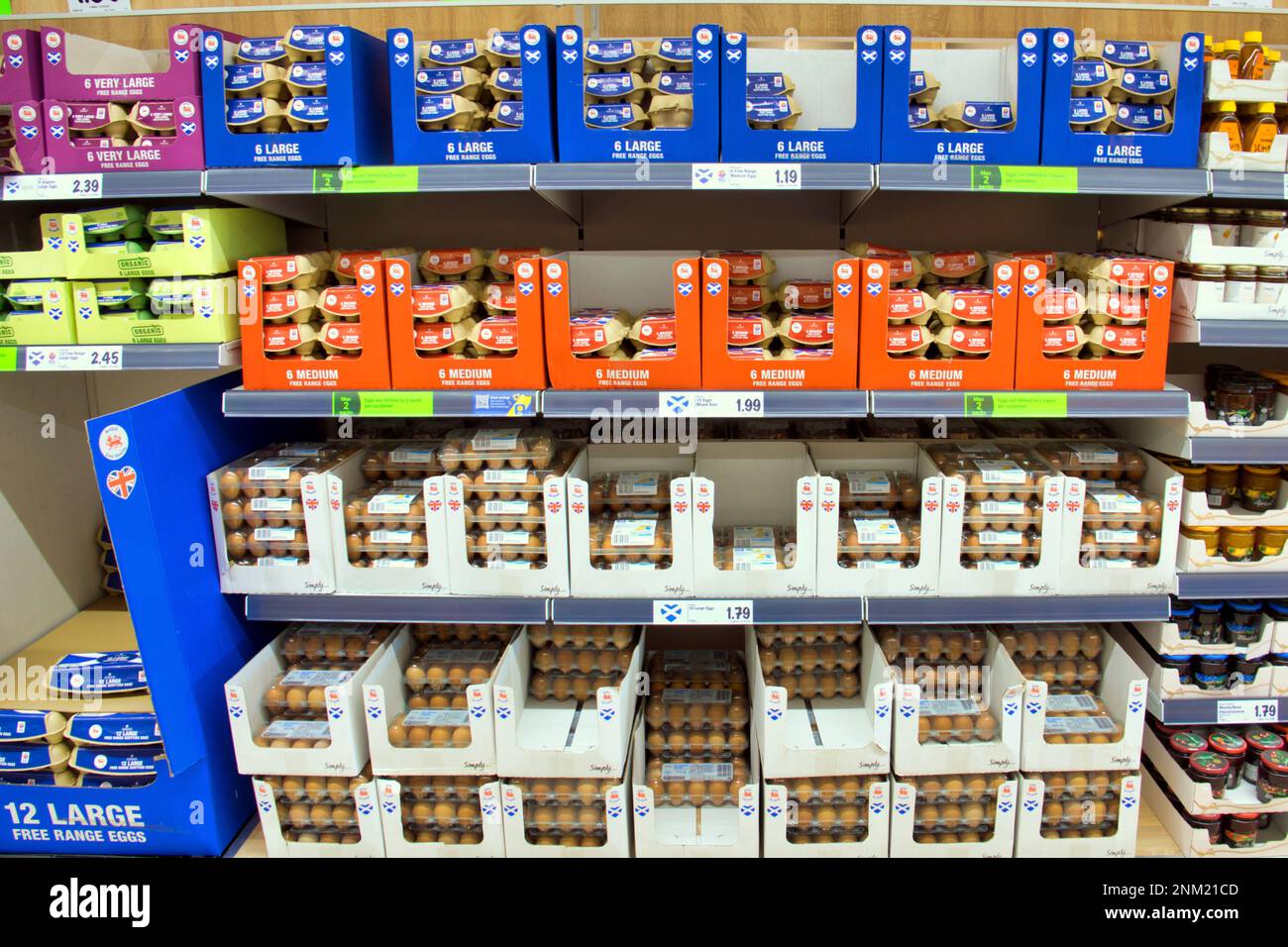 Glasgow, Schottland, Vereinigtes Königreich 24. Februar 2023. Eier Lidl-Eier und Tomaten-Limits stellen die Versorgung sicher, da ihre Läden aufgrund der Einschränkungen voll sind. Credit Gerard Ferry/Alamy Live News Stockfoto