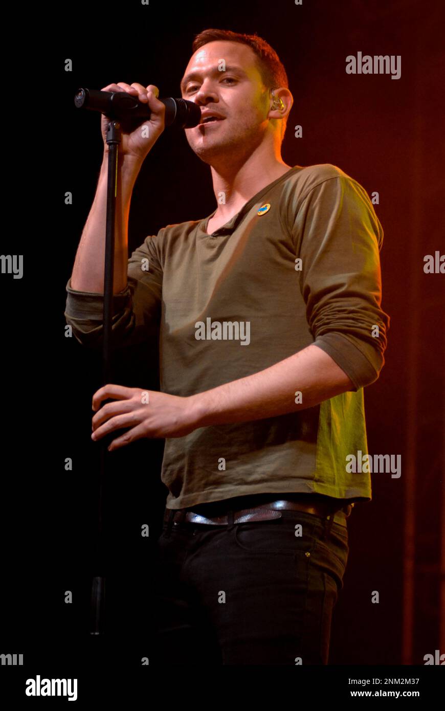 Will Young, V2008, Hylands Park, Chelmsford, Essex, Großbritannien - 16. August 2008 Stockfoto