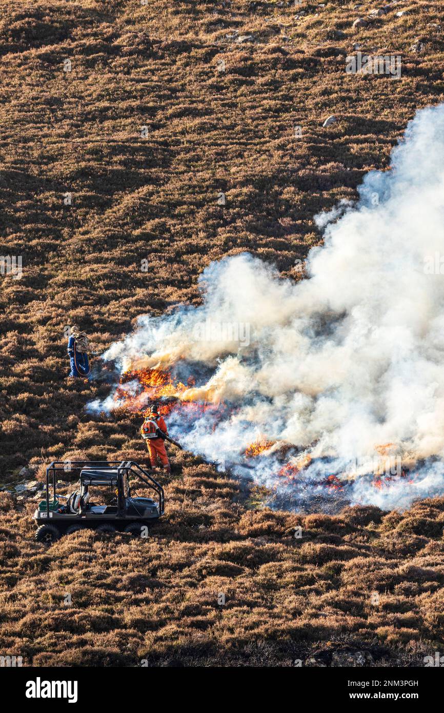 Das kontrollierte Verbrennen von Heidemoorland (Segel- oder Muirburn-Gebiet) an den Hängen von Sgor Mor südlich von Braemar, Aberdeenshire, Schottland, Vereinigtes Königreich Stockfoto