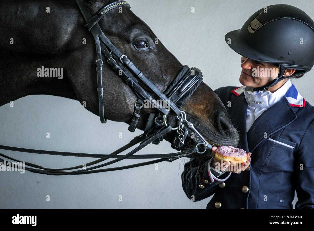 Private Einrichtung im Pferdeparadies Wellington Florida USA Stockfoto