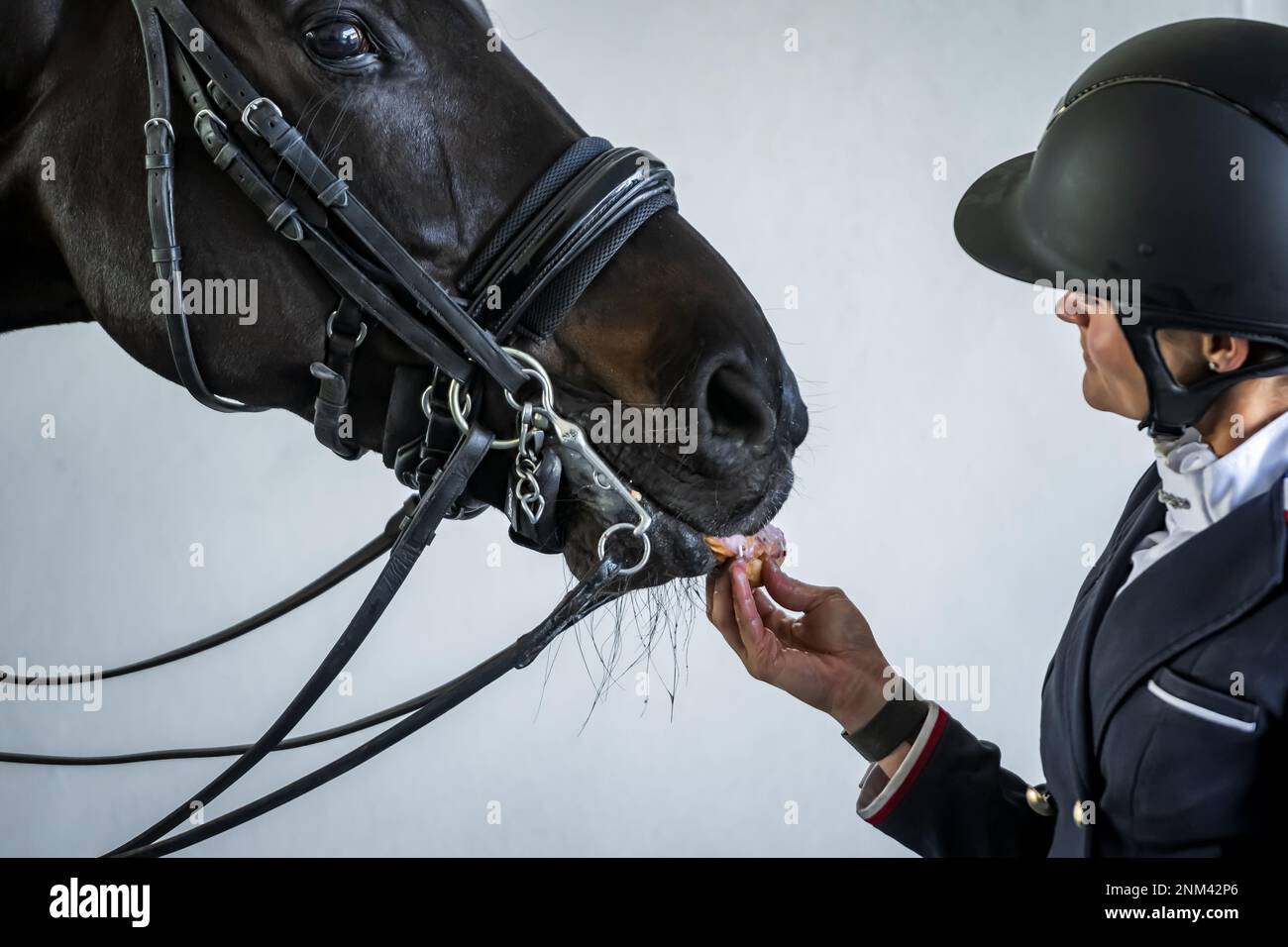 Private Einrichtung im Pferdeparadies Wellington Florida USA Stockfoto