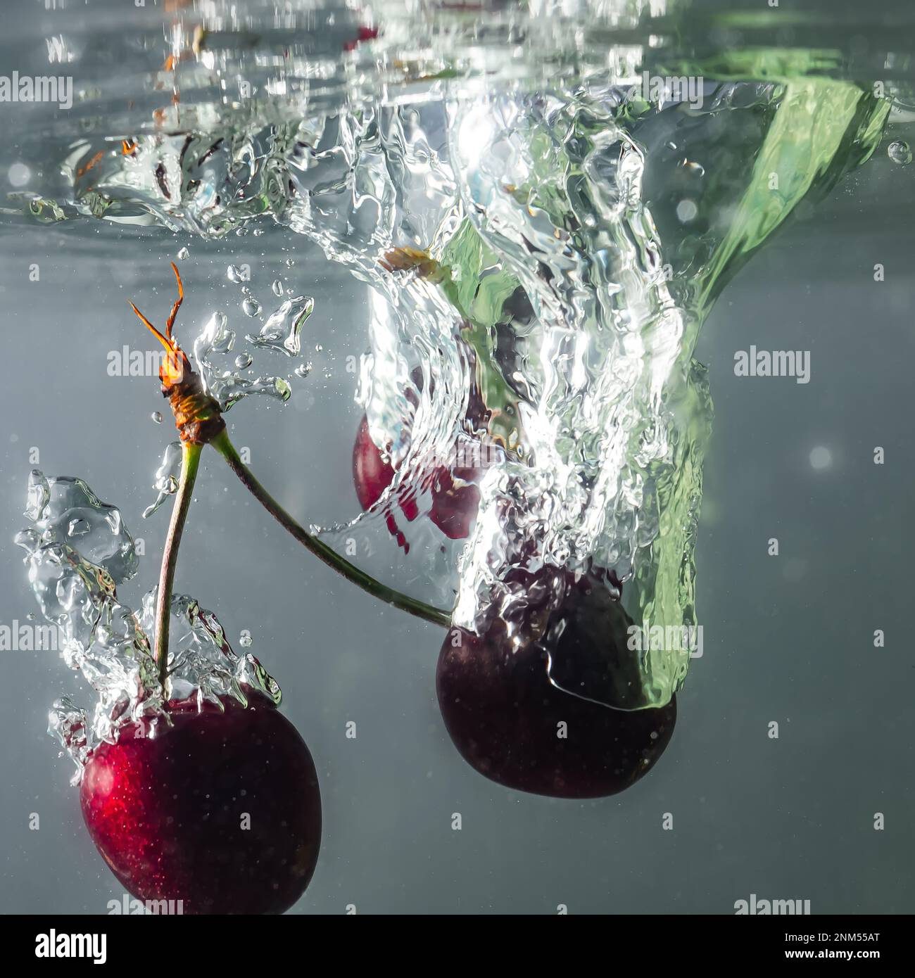 Reife Kirschen fallen ins Wasser und verursachen Spritzer und Luftblasen Stockfoto