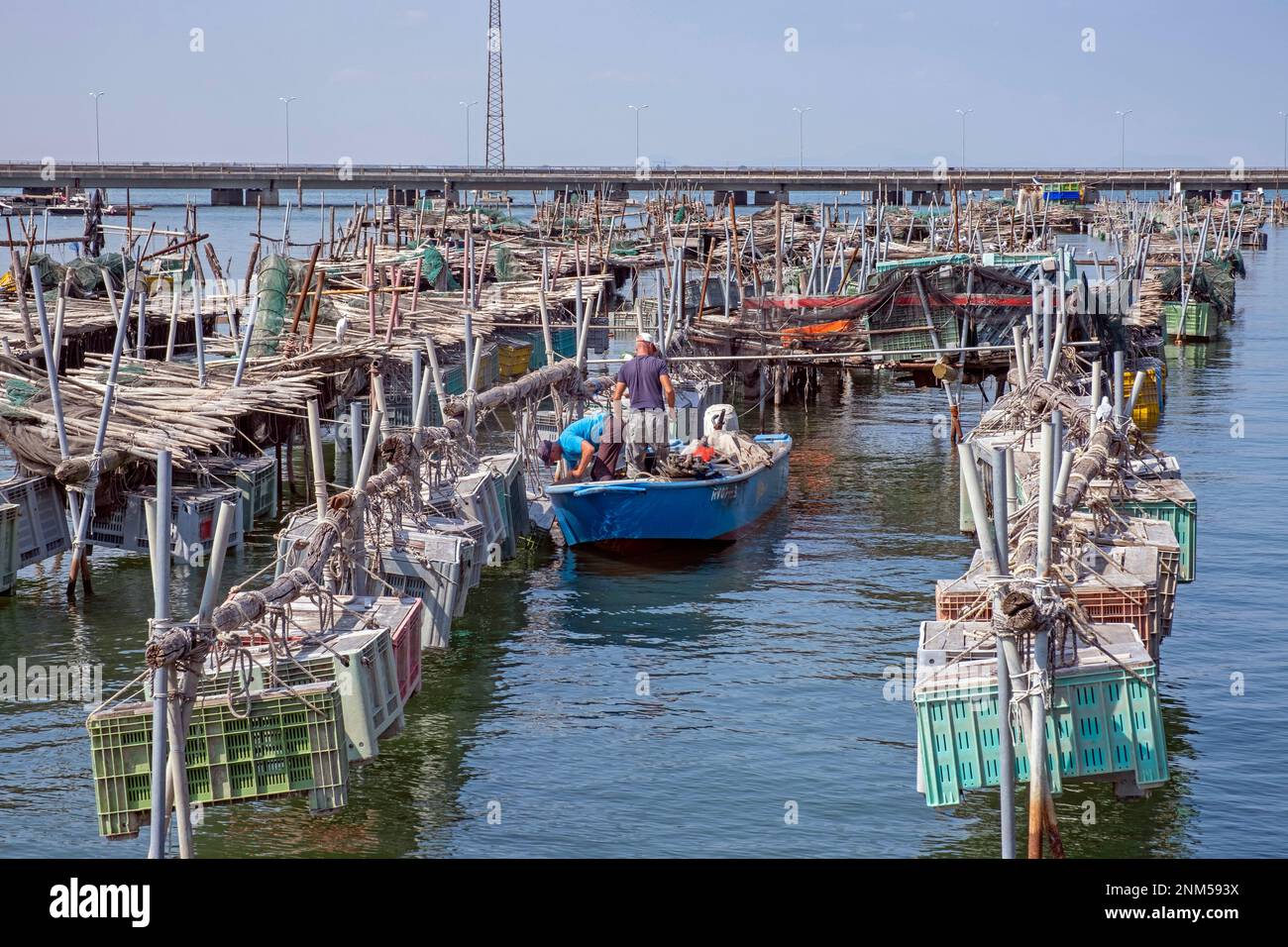 Fischer im Fischerboot im Hafen des Po-Deltas südlich von Chioggia, Venetien-Region Norditalien Stockfoto
