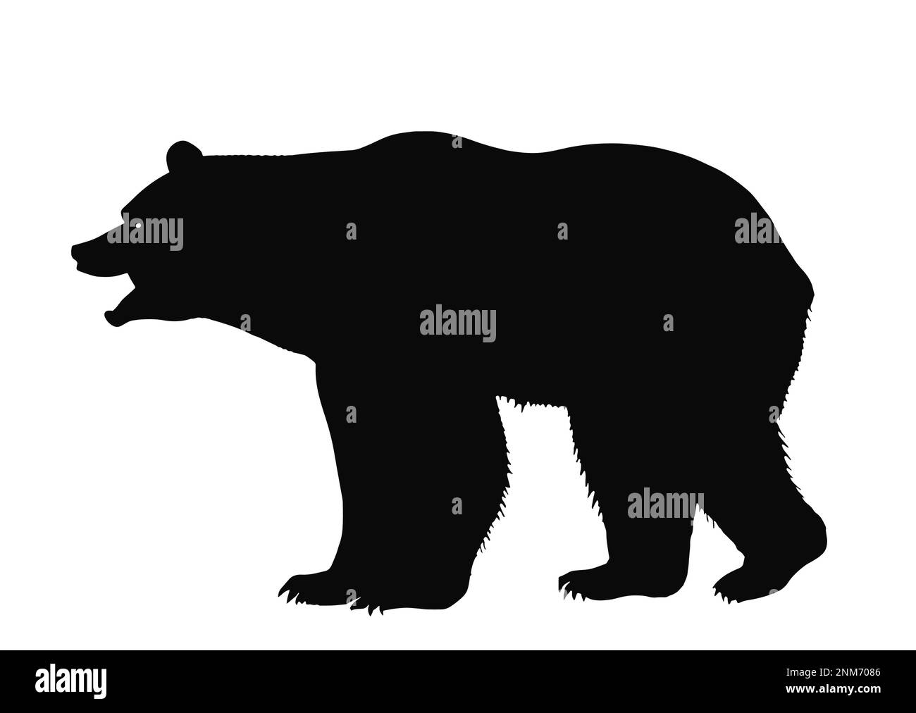 Wandelnder Grizzlybär, schwarze Silhouette Stock Vektor