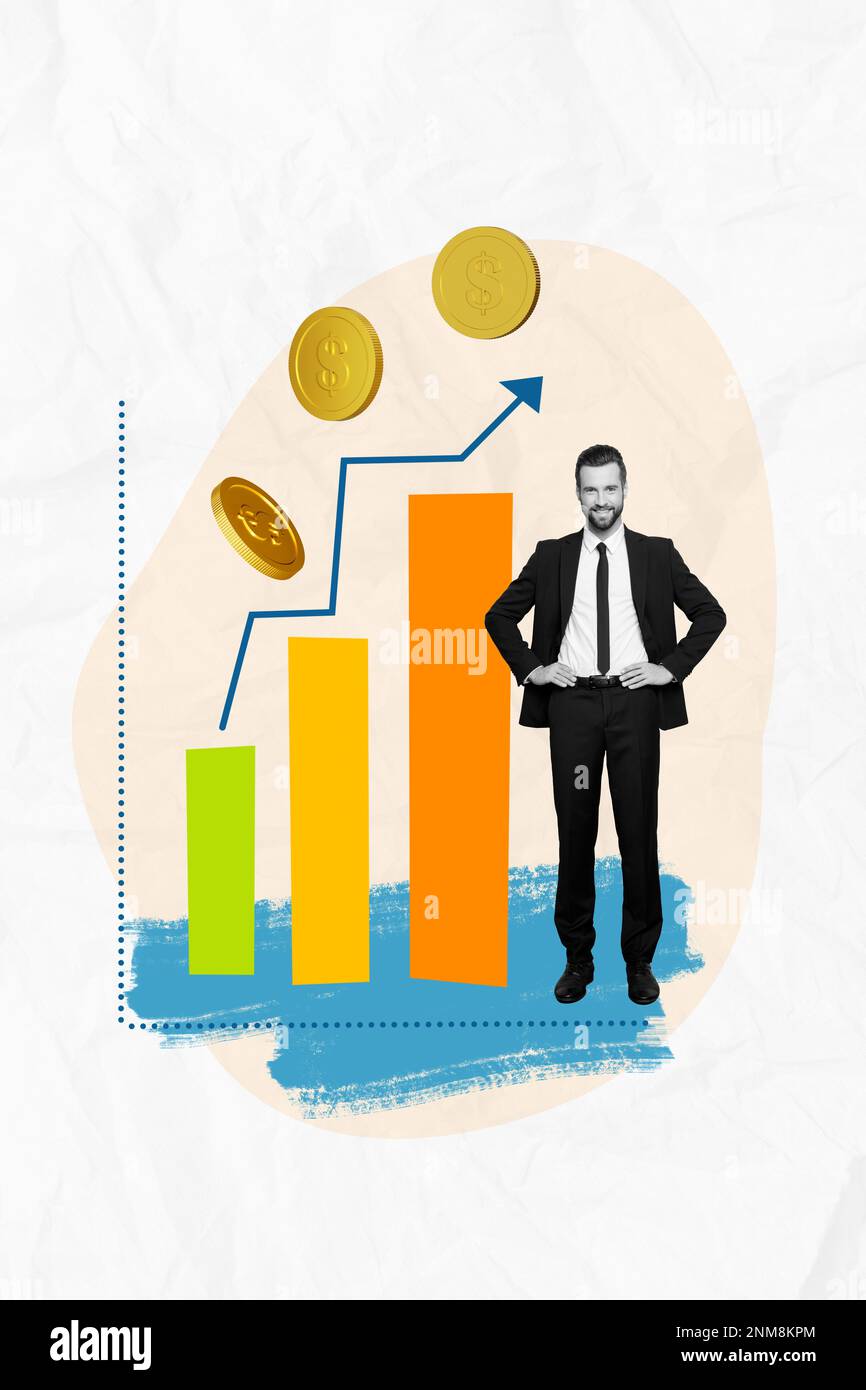 Banner Poster Bild Collage von Ökonomen Arbeiter Typ Unternehmer analysiert Start-up Einkommen steigt Stockfoto