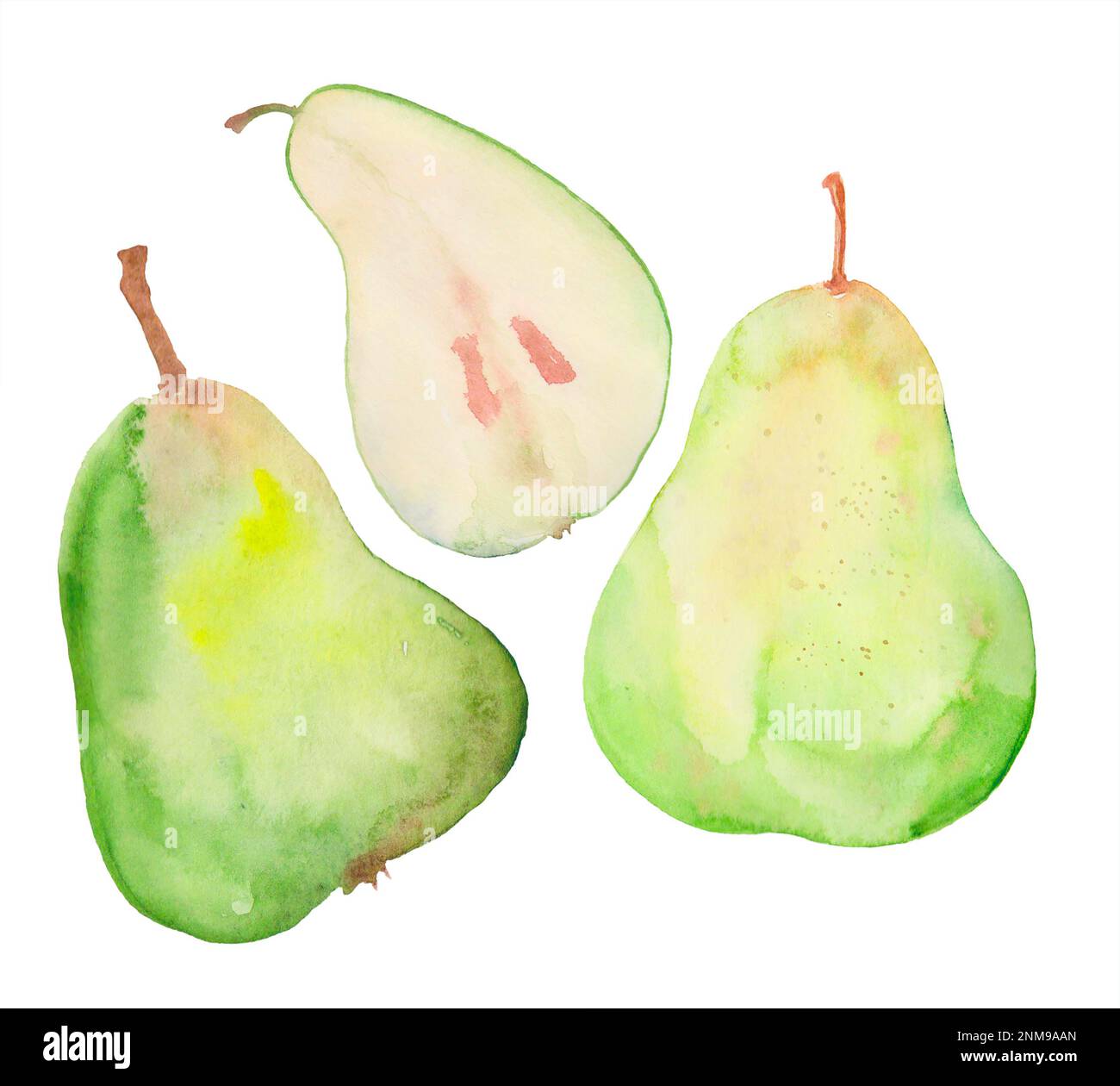 Drei grüne Birnen, Aquarell-Illustration, Clipart-Zeichnung zum ...
