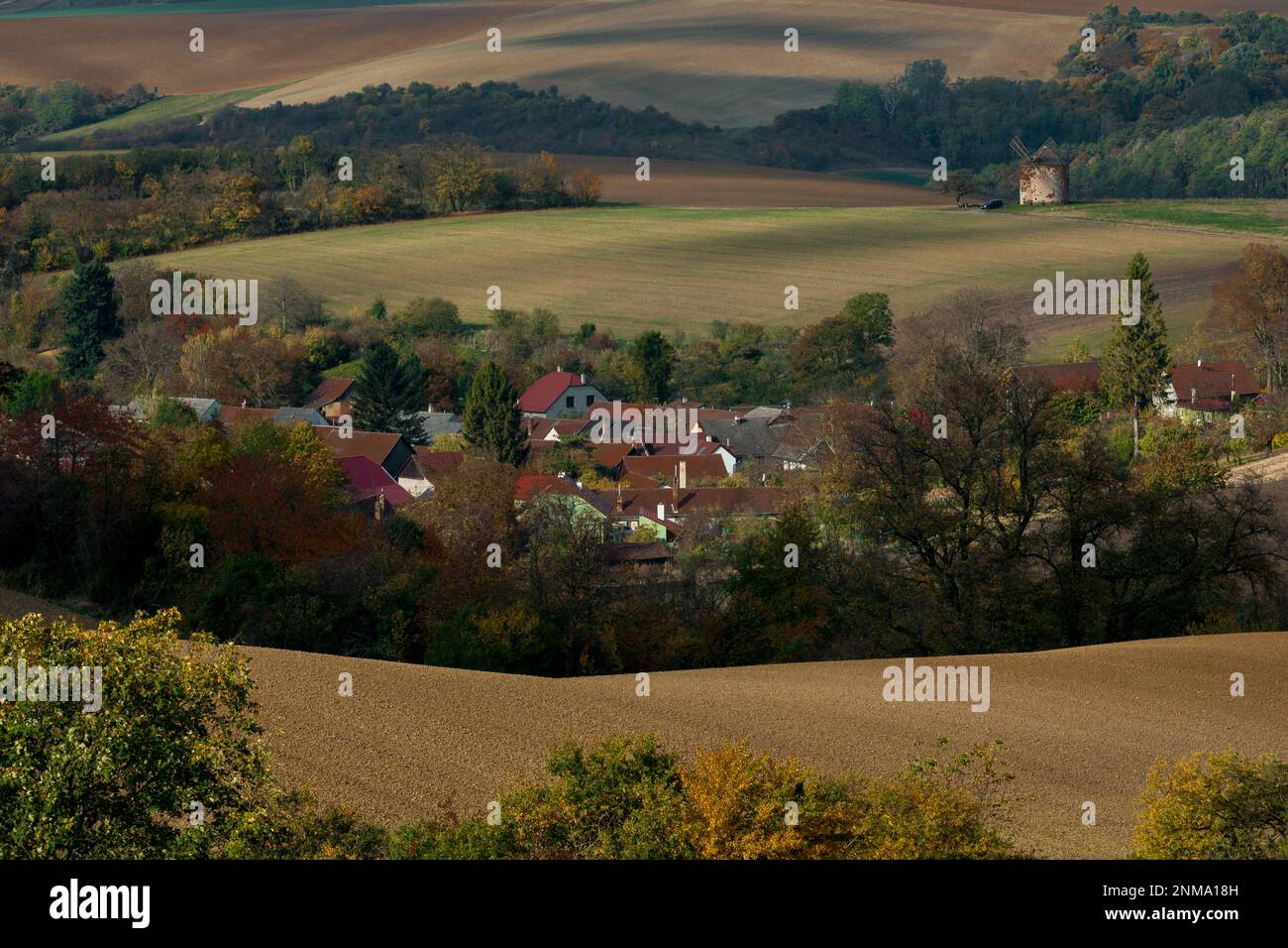 Ein mährisches Dorf zwischen Ackerfeldern mit einer Ziegelwindmühle im Hintergrund. Tschechische republik Stockfoto