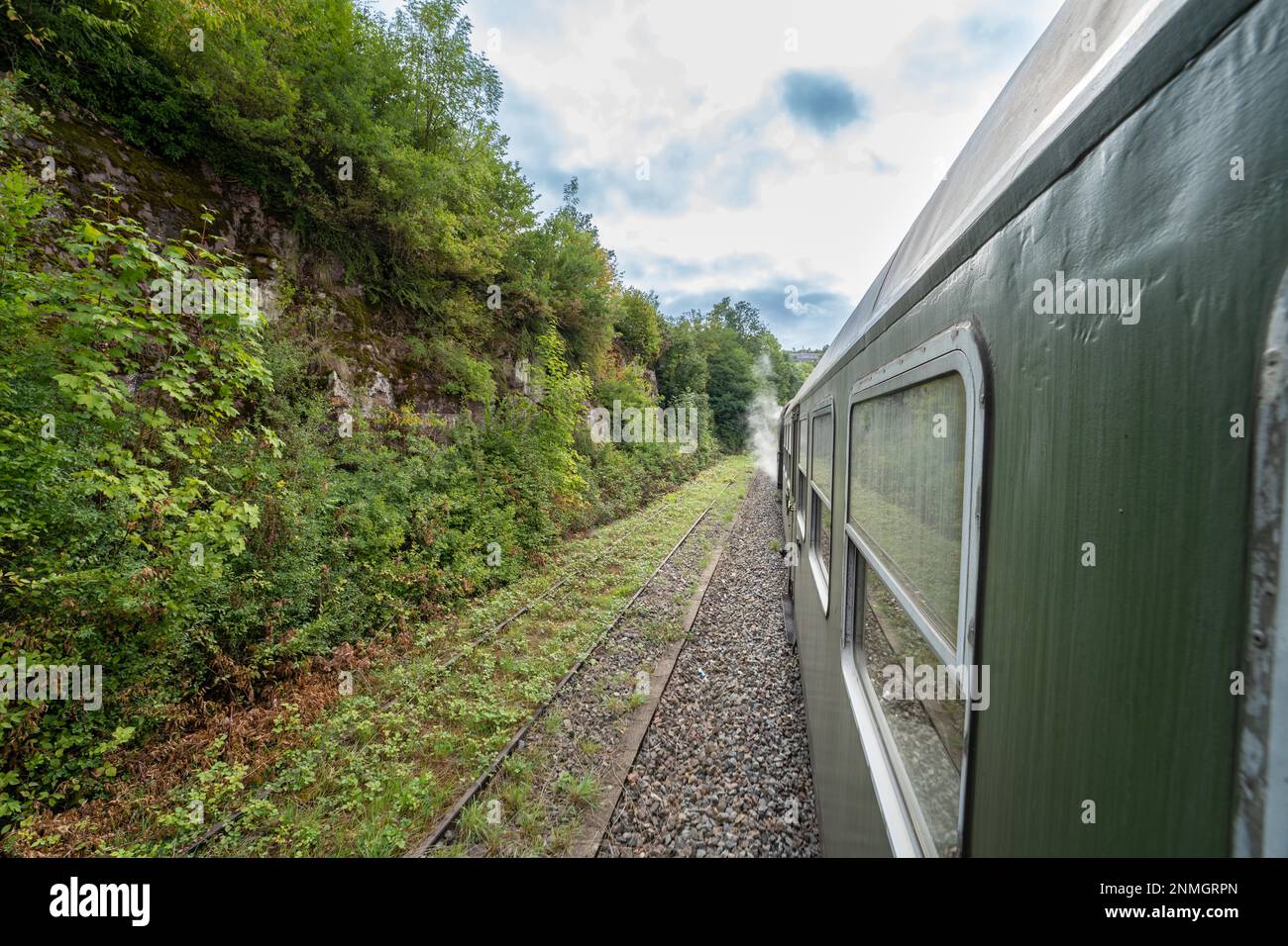 Grüner historischer Eisenbahnwagen auf Dampflokomotive, Calw, Schwarzwald, Deutschland Stockfoto