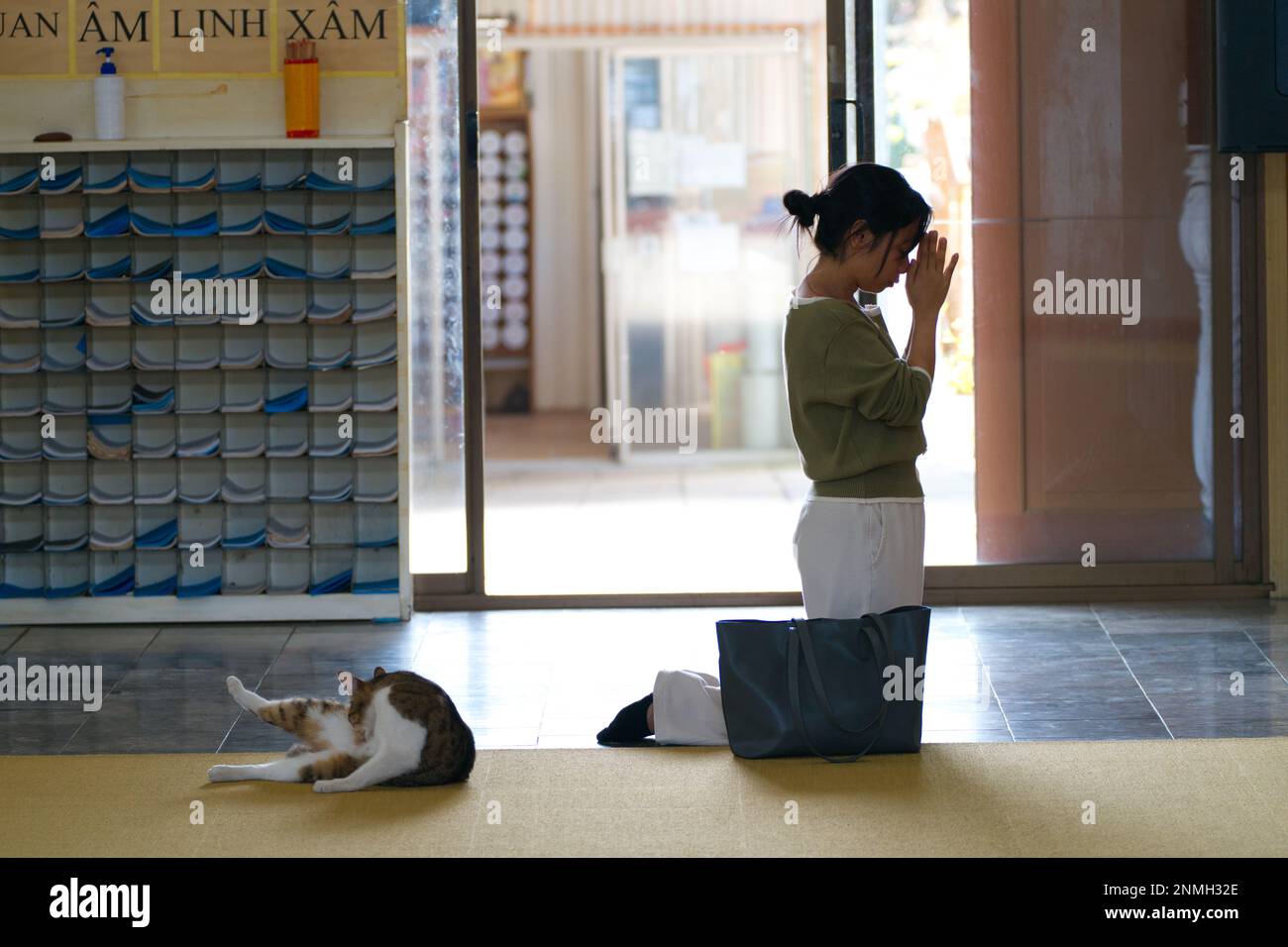 Eine Frau, die betet und sich bedankt, während eine Katze sich im vietnamesischen buddhistischen Tempel Quang Minh, Braybrook, Melbourne, Australien, entspannt. Stockfoto