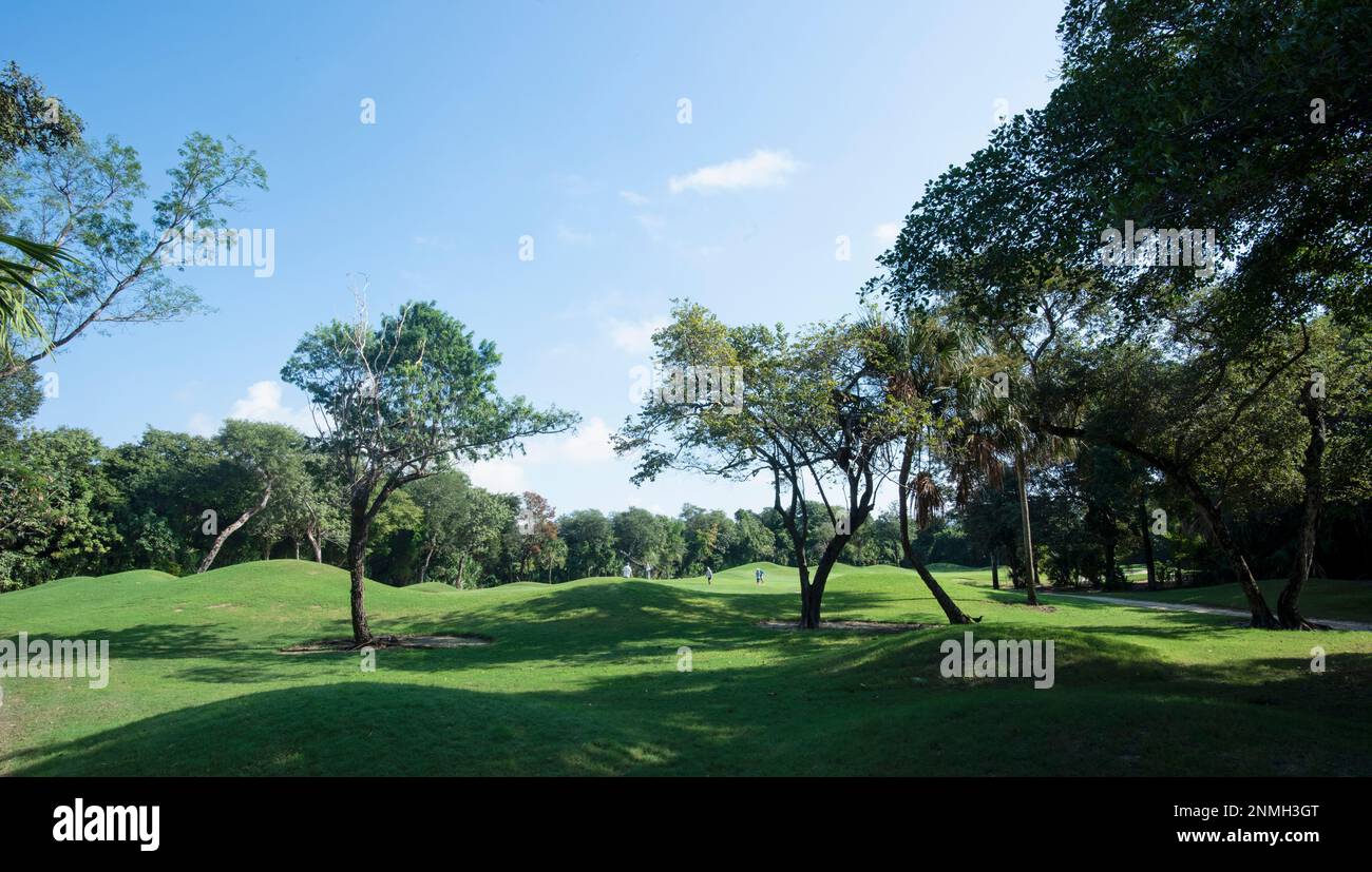 Eine Gruppe von Freunden spielt an einem sonnigen Tag eine Runde Golf auf einem Golfplatz in den Tropen, während sie in Mexiko Urlaub machen Stockfoto