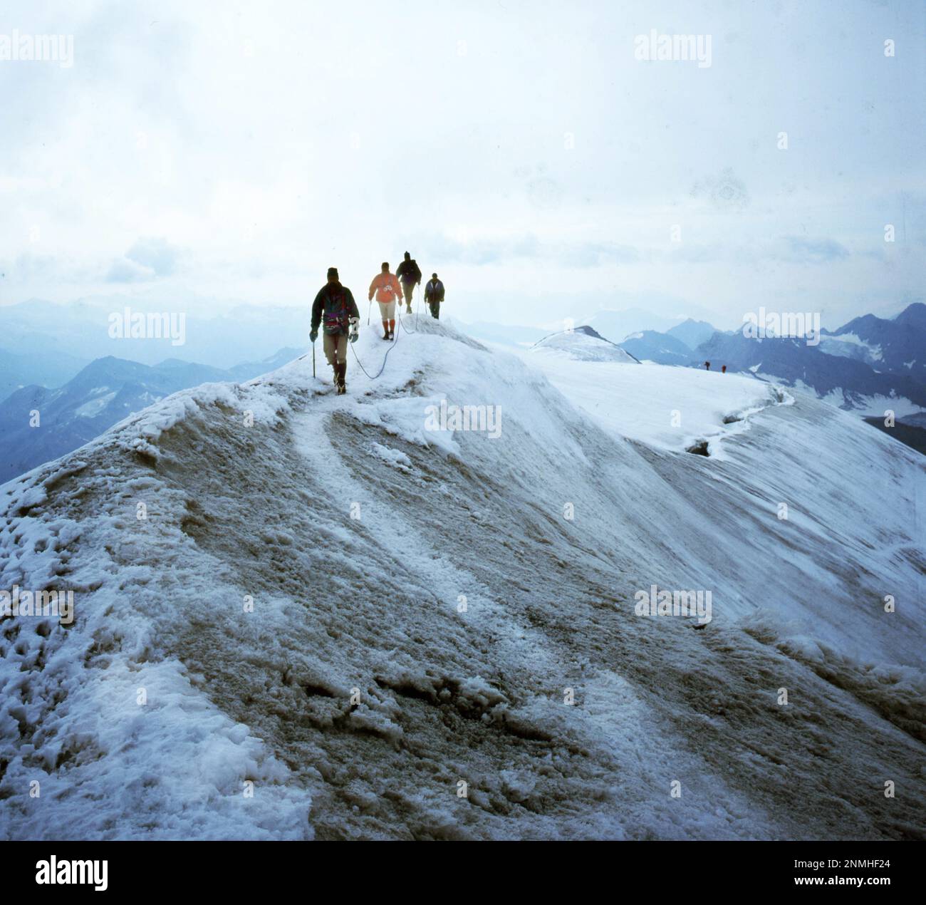 Bergwandern im Allgaeu, hier auf 9.8.1991 im Stubai-Tal und Wilden Freiger, ist ein gesunder Sport, DEU, Deutschland Stockfoto