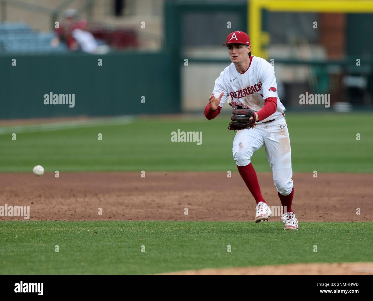 February 24, 2023: Razorback infielder Brady Slavens #17 charges a bouncing ball. Arkansas defeated Eastern Illinois 13-2 in Fayetteville, AR, Richey Miller/CSM (Credit Image: © Richey Miller/CSM via ZUMA Press Wire) (Cal Sport Media via AP Images) Stockfoto